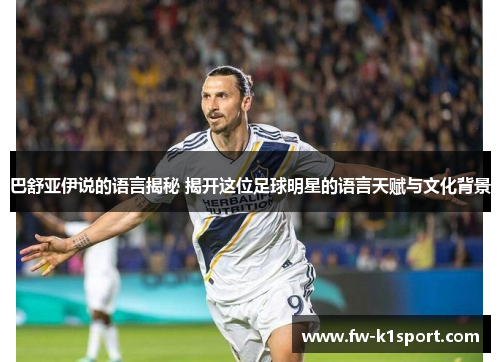 巴舒亚伊说的语言揭秘 揭开这位足球明星的语言天赋与文化背景