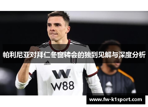 帕利尼亚对拜仁冬窗转会的独到见解与深度分析 帕利尼亚对拜仁冬窗转会的独到见解与深度分析